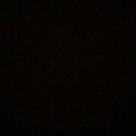 Meet your Posher, Lilly - Picture 1 of 1